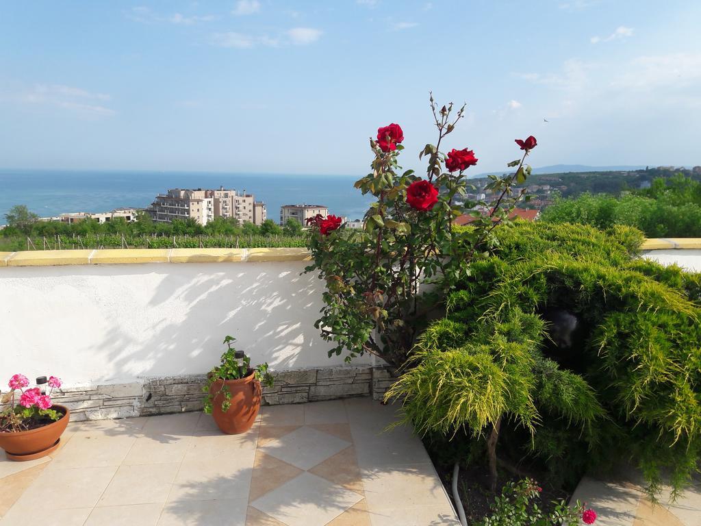 Villa Byala Grape House Exterior photo